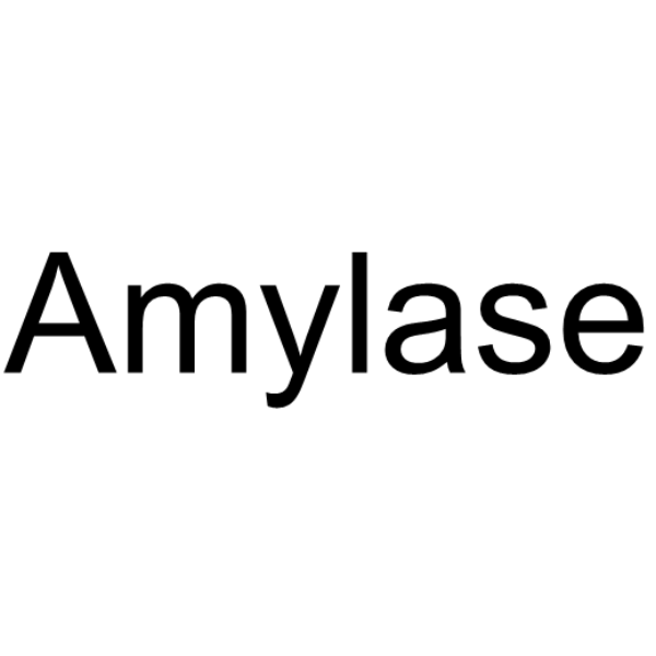 Amylase