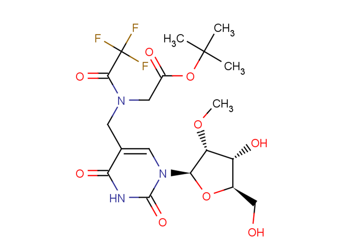 5-N-(t-Butyloxycarbonylmethyl)-N-trifluoro acetyl-aminomethyl-2’-O-methyluridine