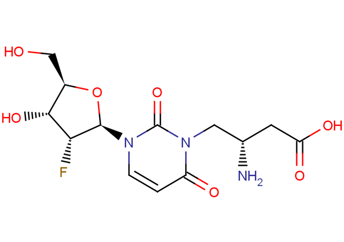 2’-Deoxy-2’-fluoro- N3-(2S)-(2-amino-3-carbonyl)-propyluridine