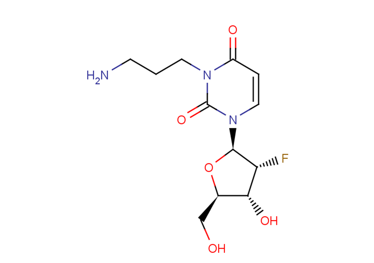 2'-Deoxy-2'-fluoro-N3-(3-aminopropyl)uridine