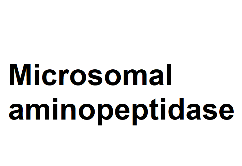 Aminopeptidase M