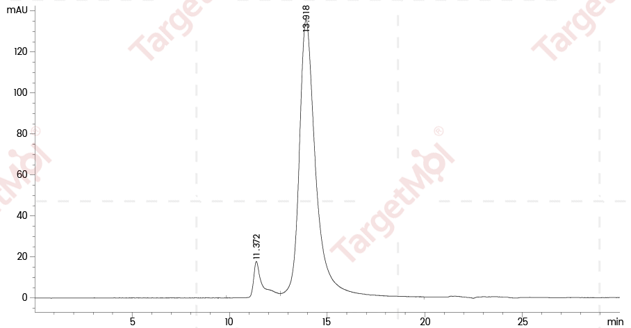 IL-T4 Protein, Human, Recombinant (His)