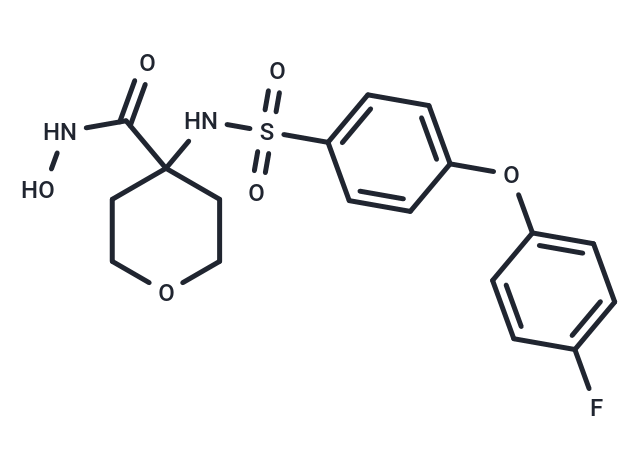 CP-544439