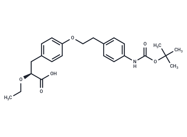 ARH-049020