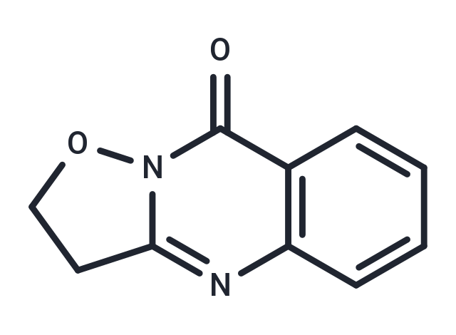 W-2429