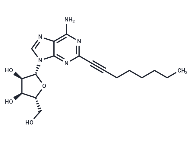 YT 146