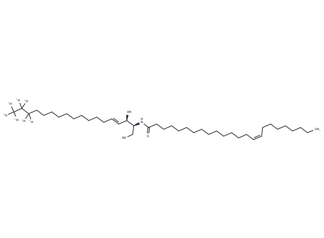 C24:1 Ceramide-d7