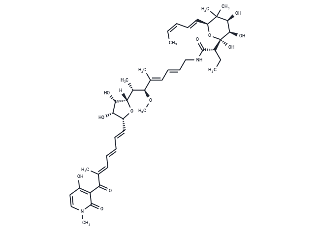 Aurodox