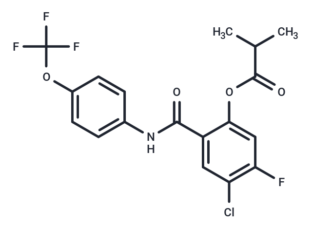 SARS-CoV-2-IN-38