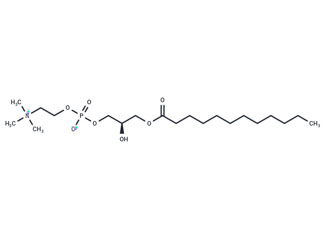 LysoFos Choline 12