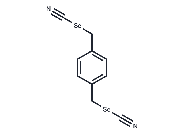 P-XSC