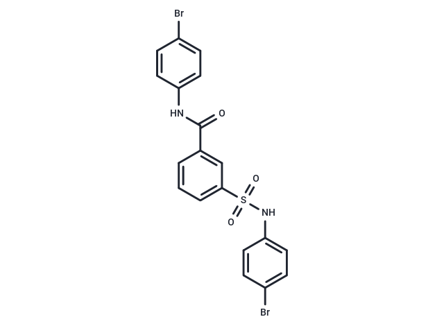 C2-8