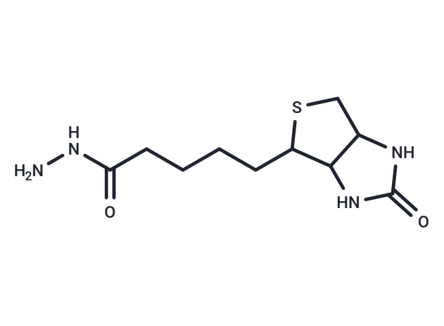 Biotin Hydrazide