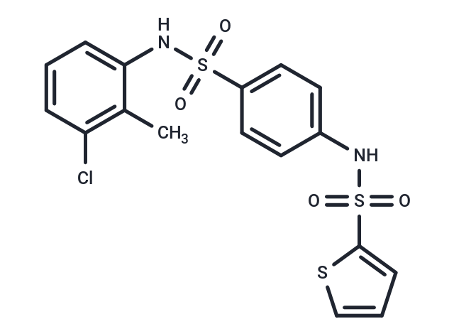 T16A(inh)-B01