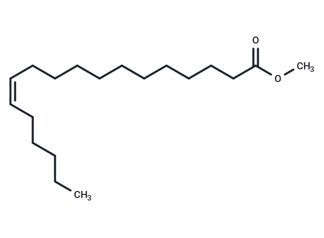 12(Z)-Octadecenoic Acid methyl ester