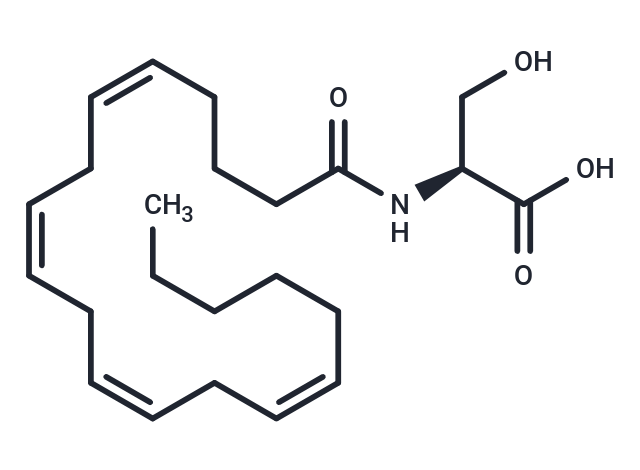 N-Arachidonoyl-L-Serine