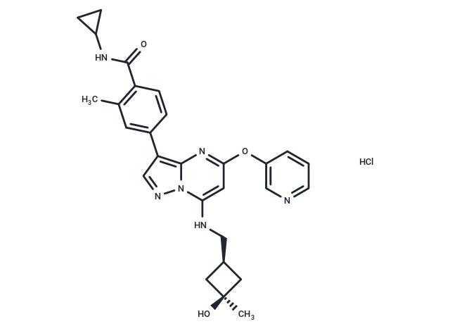 Luvixasertib hydrochloride