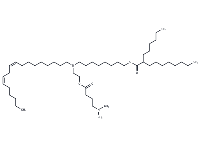 Lipid 15