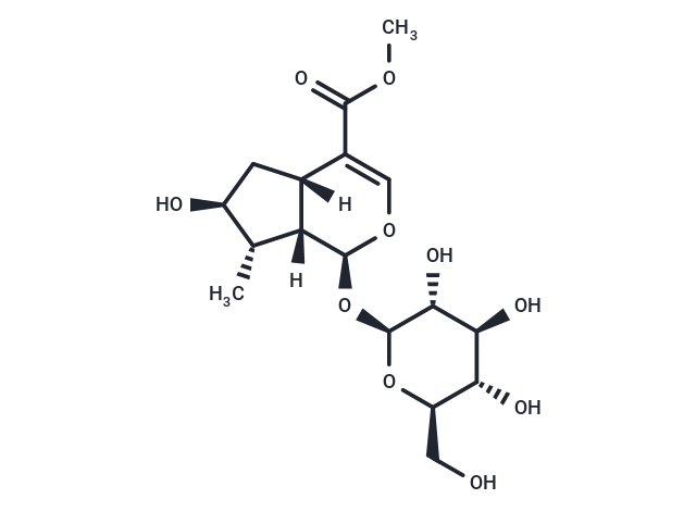 8-Epiloganin