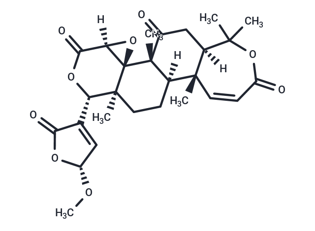 Kihadanin D