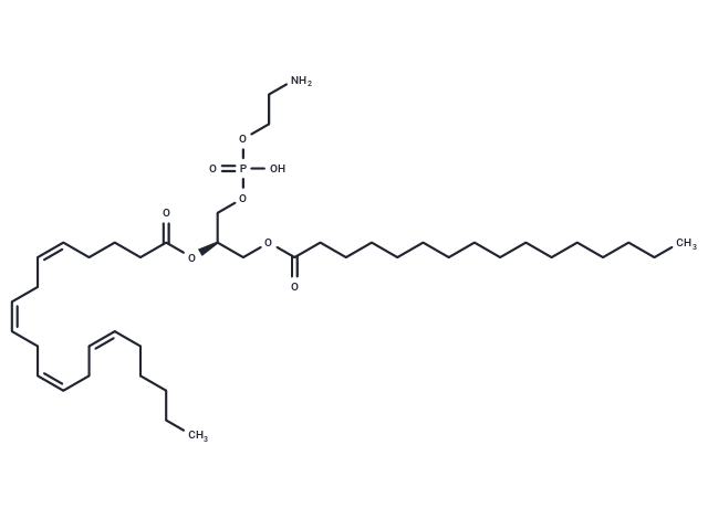 1-Palmitoyl-2-Arachidonoyl-sn-glycero-3-PE