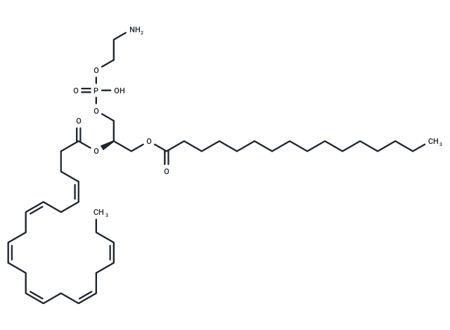 1-Palmitoyl-2-Docosahexaenoyl-sn-glycero-3-PE