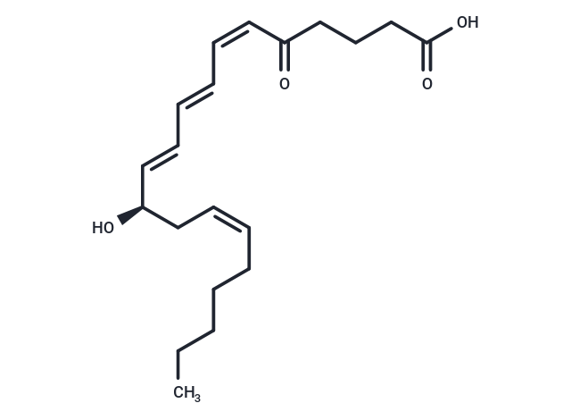 5-oxo Leukotriene B4