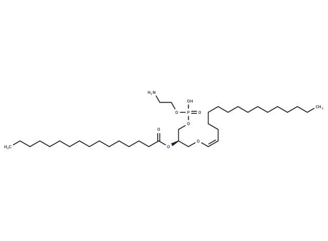 1-1(Z)-Hexadecenyl-2-Palmitoyl-sn-glycero-3-PE