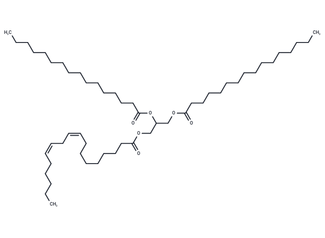 1,2-Dipalmitoyl-3-Linoleoyl-rac-glycerol