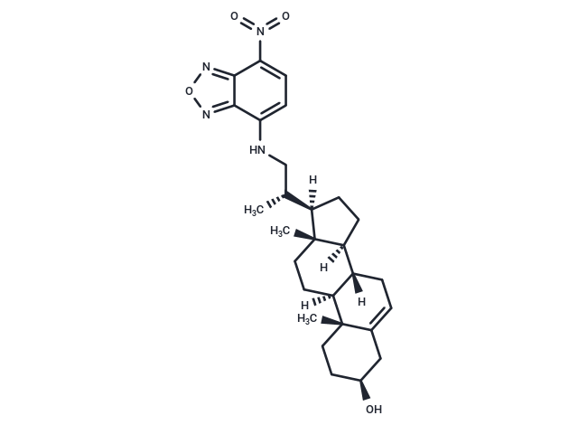 22-NBD Cholesterol