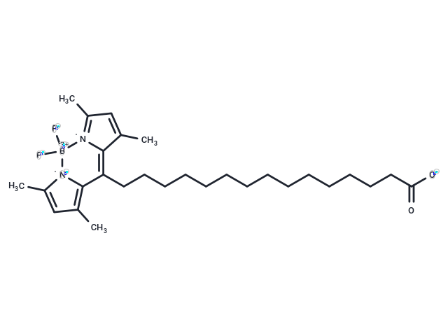 BODIPY-Palmitate