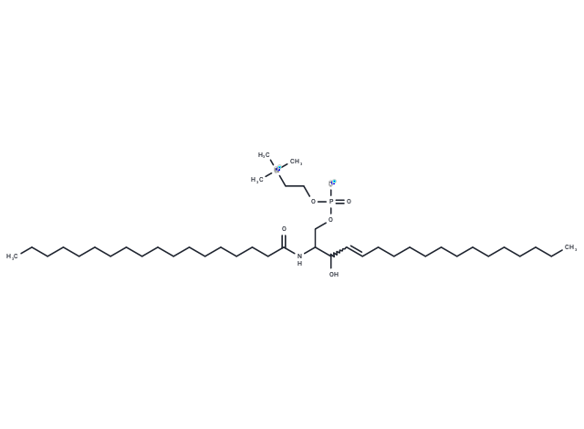 C18 Sphingomyelin (d18:1/18:0)