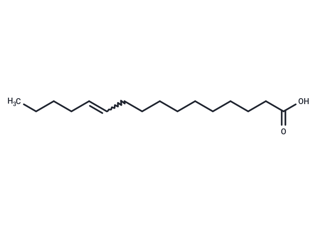 11-Hexadecenoic Acid