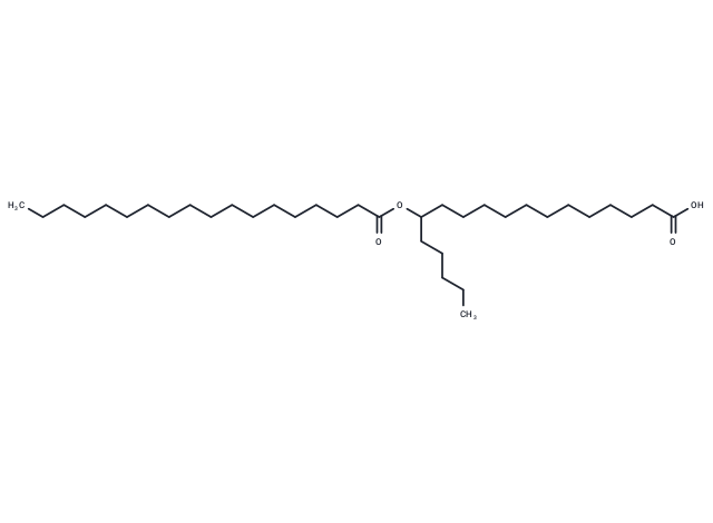 13-SAHSA