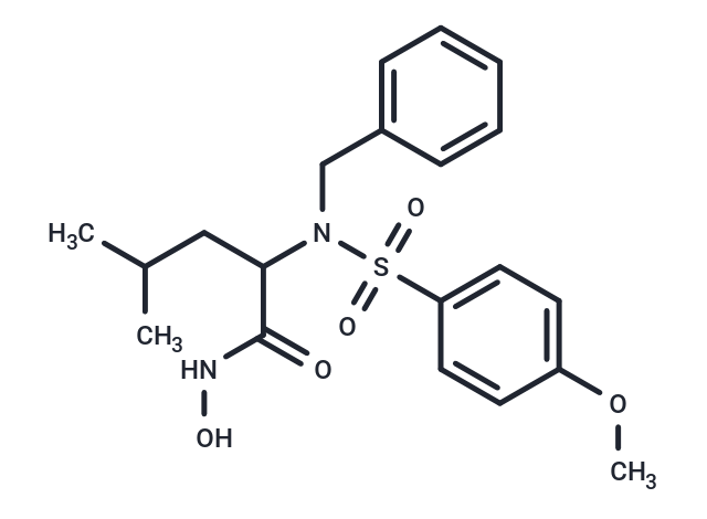 MMP-3 Inhibitor VIII