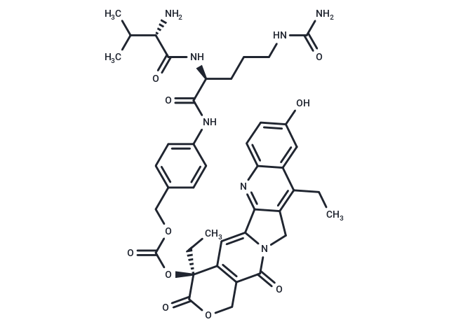 PH-HG-005-5