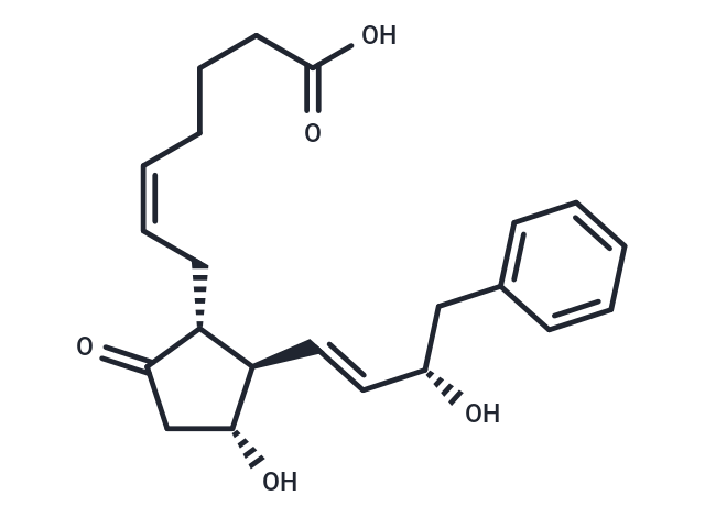 16-phenyl tetranor Prostaglandin E2