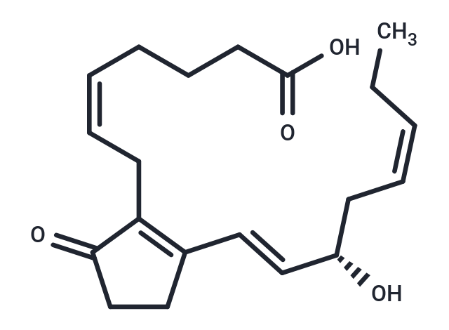 Prostaglandin B3