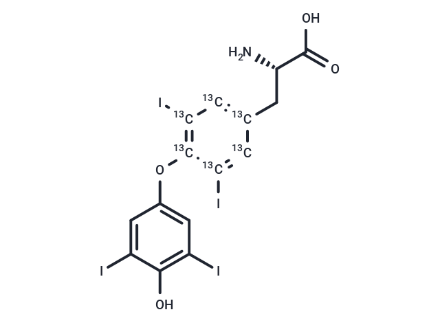 L-Thyroxine-13C6