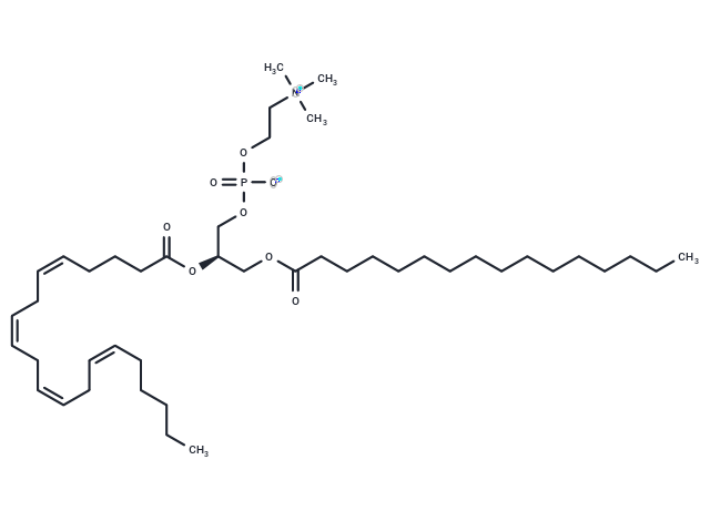 1-Palmitoyl-2-Arachidonoyl-sn-glycero-3-PC