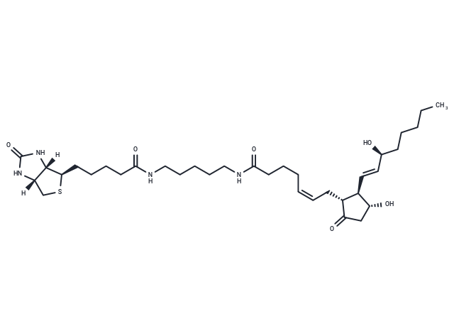 Prostaglandin E2-biotin