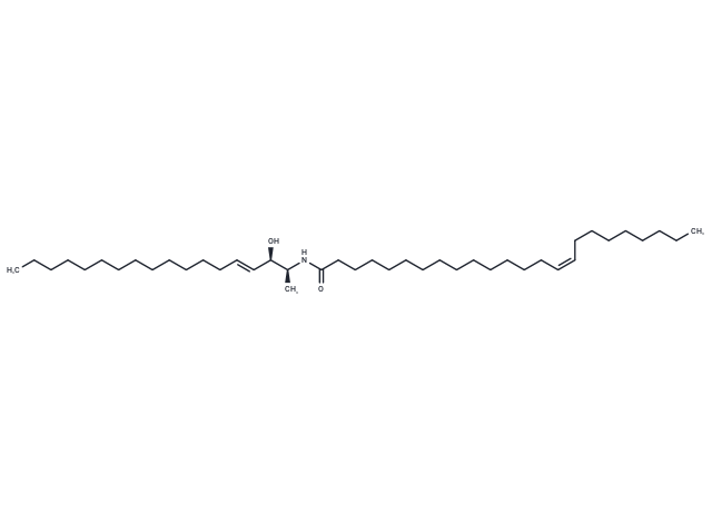 C24:1 1-Deoxyceramide (m18:1/24:1(15Z))