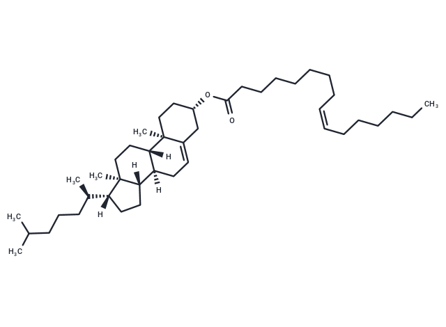 Cholesteryl Palmitoleate