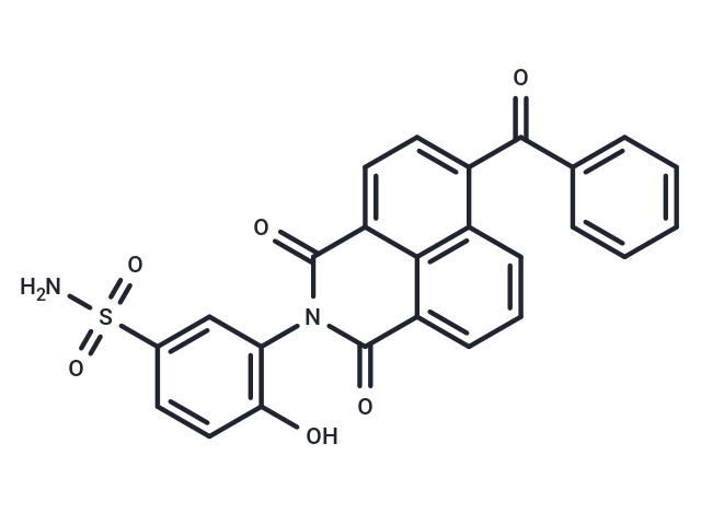 SERT inhibitor 69419