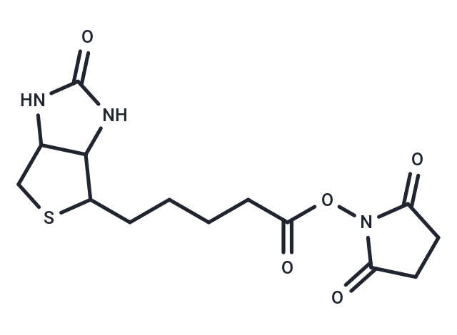 Biotin NHS