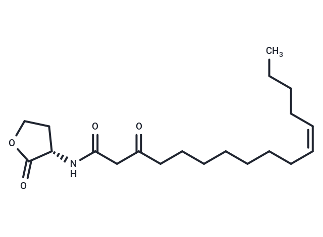 3-Oxo-C16:1