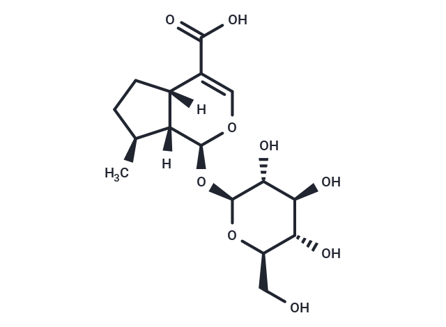 7-Deoxyloganic acid