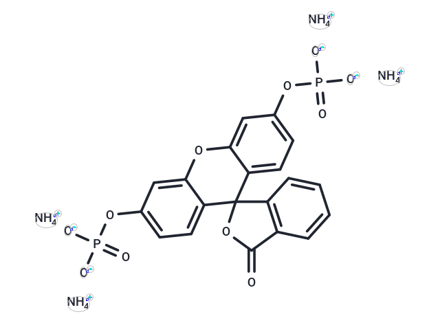 Fluorescein diphosphate tetraammonium