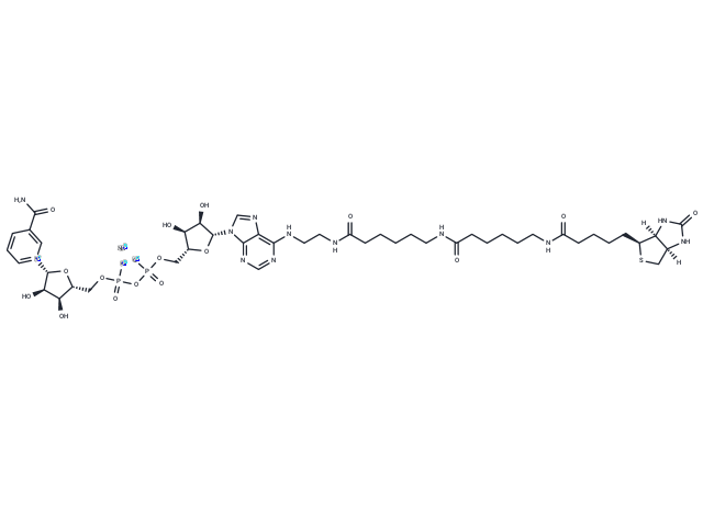 6-Biotin-17-NAD+ sodium