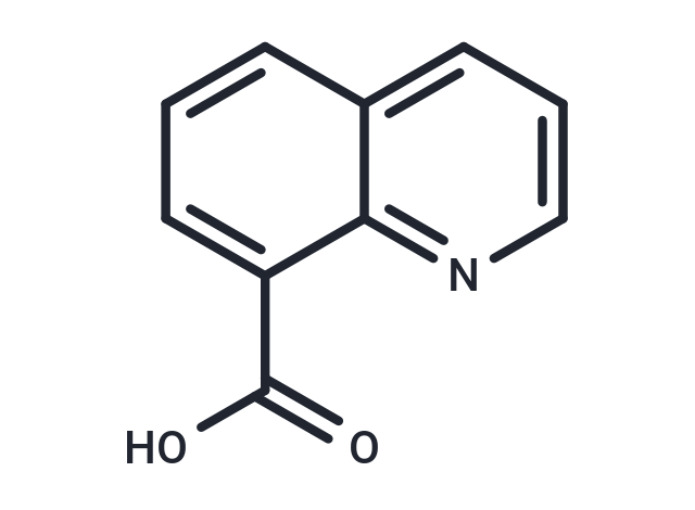 Quinoline-8-carboxylic acid